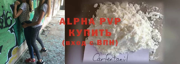 твердый Протвино