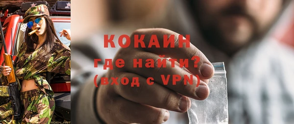 сатива Арсеньев