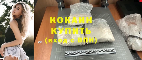 шишки Армянск