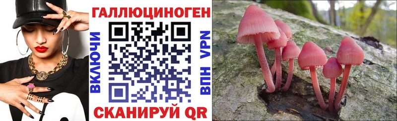 Галлюциногенные грибы мицелий  купить наркотики цена  Кубинка 