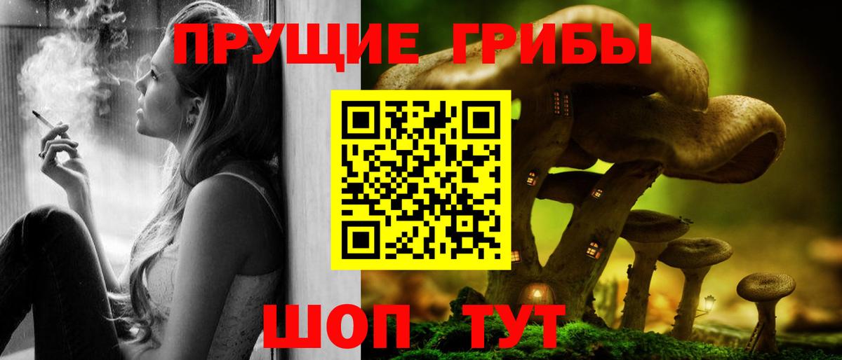 Псилоцибиновые грибы Psilocybine cubensis Кубинка