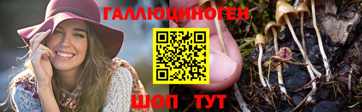 купить   Псилоцибиновые грибы Magic Shrooms  Вход с VPN  Кубинка 